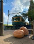 かぼちゃとかぼちゃ電車