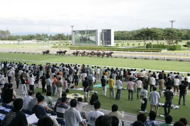 新潟競馬場
