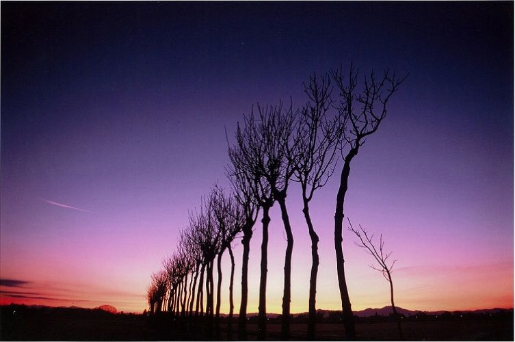 夜明け