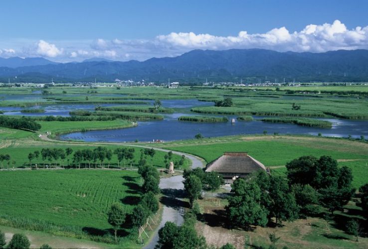 福島潟の夏