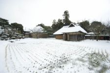 北方文化博物館の冬