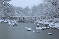 白山公園　冬３