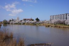 鳥屋野潟の桜（1）