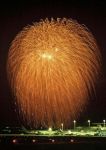 阿賀野川ござれや花火