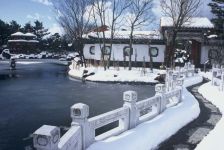 雪化粧「天寿園」