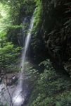 幽雅な白玉の滝