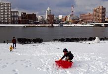 冬も元気な新潟っ子