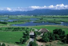 福島潟の夏