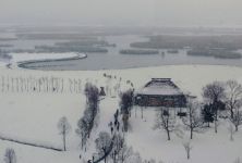 降雪 福島潟